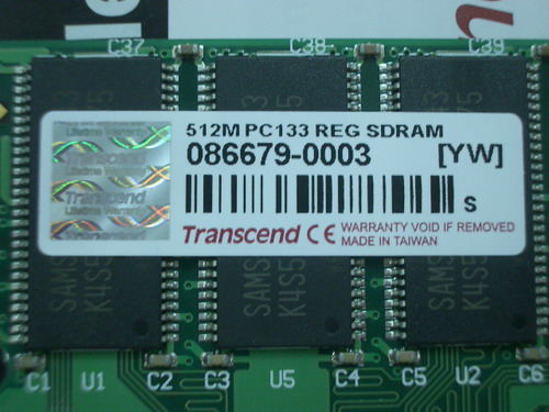 IMGP7556.JPG