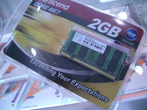 IMGP7558.JPG