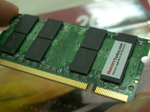 IMGP7559.JPG