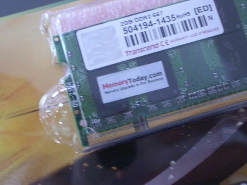 IMGP7563.JPG