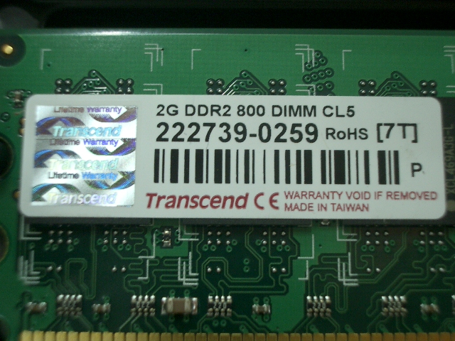 IMGP7565.JPG