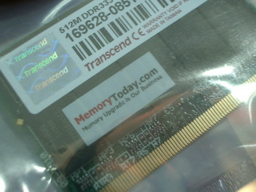 IMGP7571.JPG