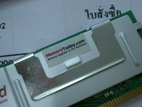 IMGP7580.JPG