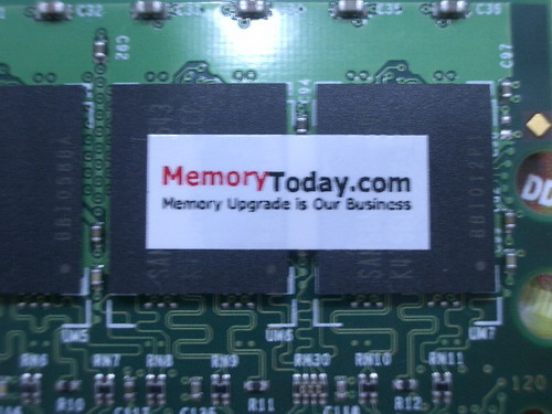IMGP7581.JPG
