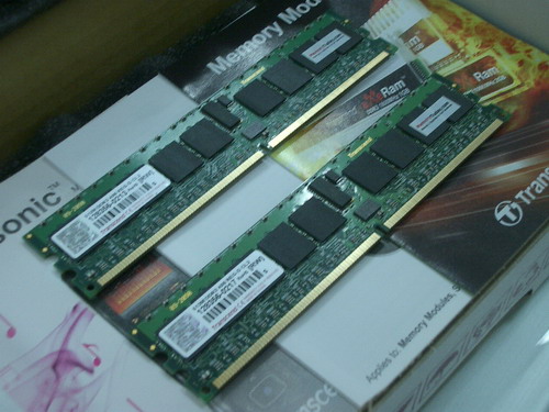 IMGP7583.JPG