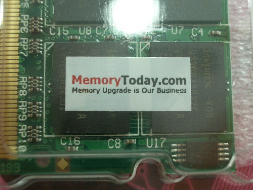 IMGP7587.JPG