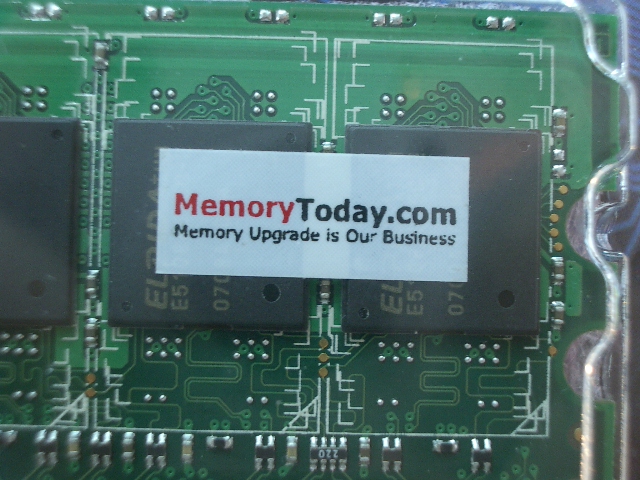 IMGP7602.JPG