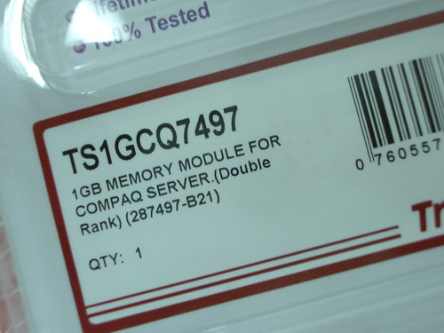 IMGP7609.JPG