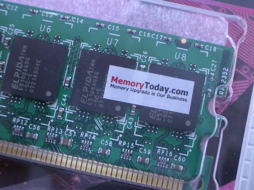 IMGP7611.JPG