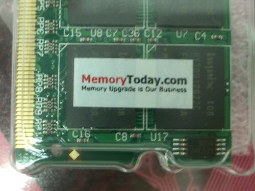 IMGP7615.JPG
