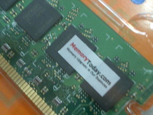 IMGP7623.JPG