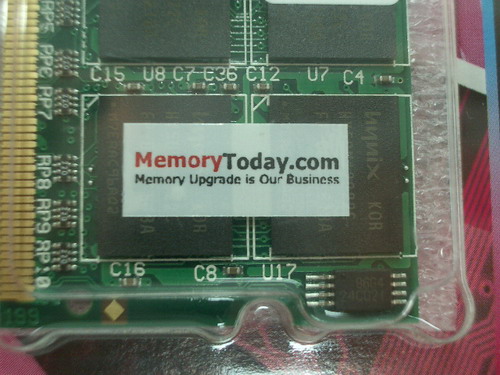 IMGP7624.JPG