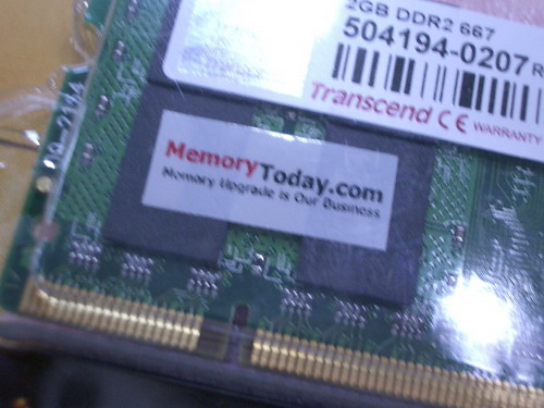 IMGP7627.JPG