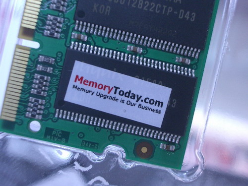IMGP7635.JPG