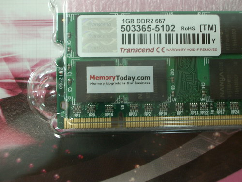 IMGP7635.jpg