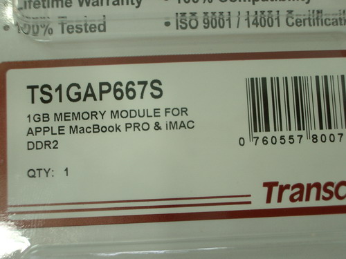 IMGP7636.jpg
