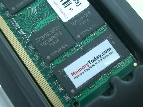 IMGP7643.JPG