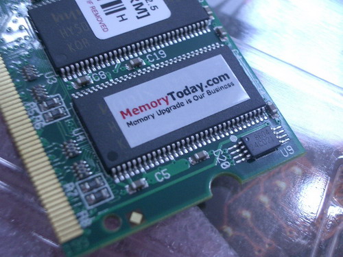 IMGP7647.JPG