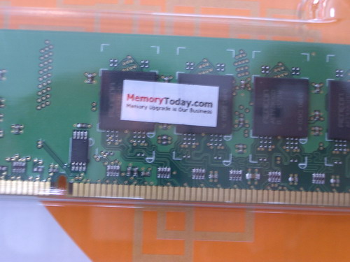 IMGP7648.jpg