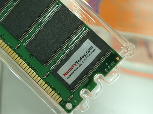 IMGP7652.JPG