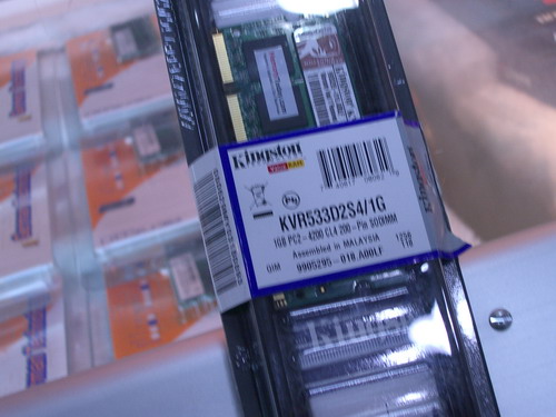 IMGP7661.JPG