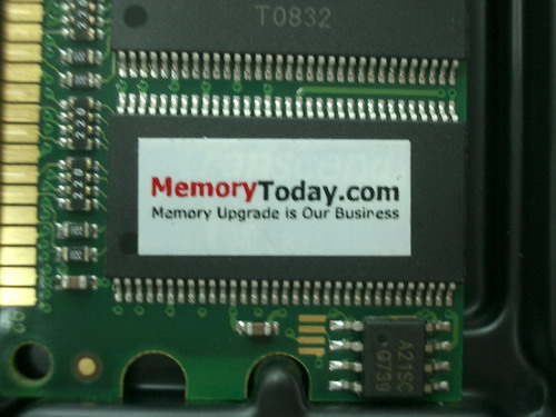 IMGP7661.JPG