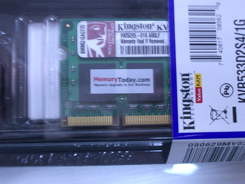 IMGP7662.JPG