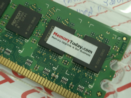 IMGP7665.JPG