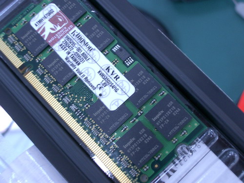 IMGP7668.JPG