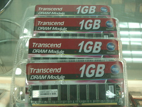 IMGP7671.JPG