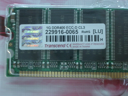 IMGP7672.JPG
