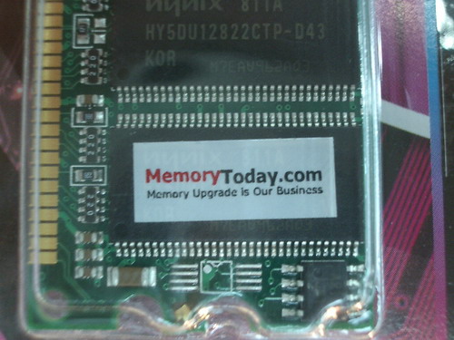 IMGP7673.JPG