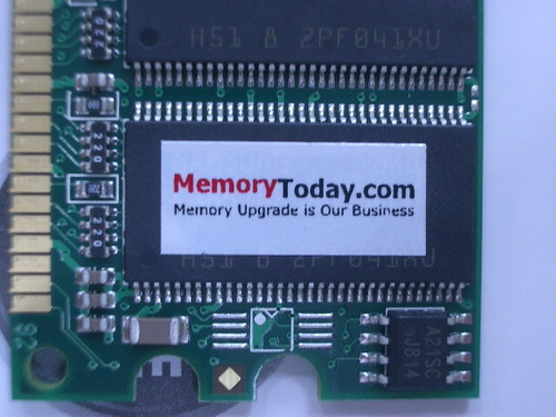 IMGP7677.JPG