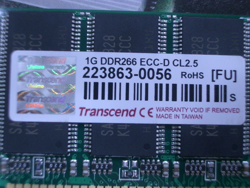 IMGP7678.JPG