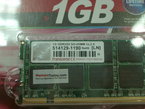 IMGP7686.JPG