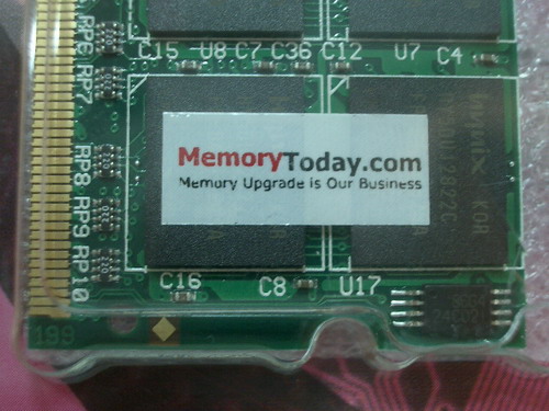 IMGP7689.JPG