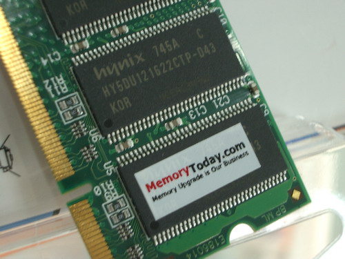 IMGP7690.JPG