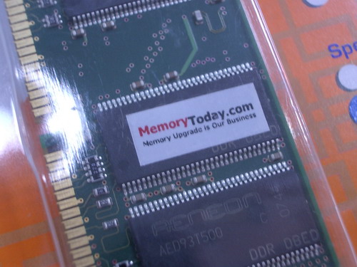 IMGP7695.JPG