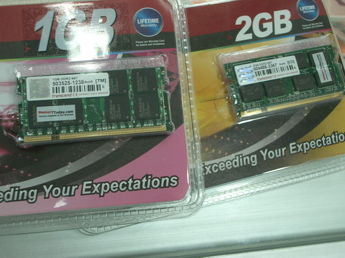 IMGP7702.JPG