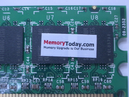 IMGP7706.JPG