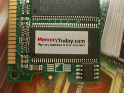 IMGP7722.JPG