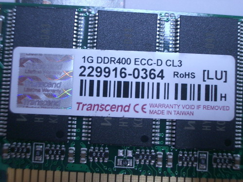 IMGP7726.JPG