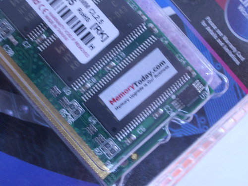 IMGP7730.JPG