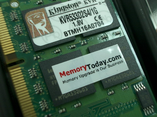 IMGP7734.JPG