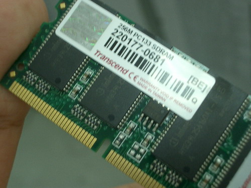 IMGP7736.JPG