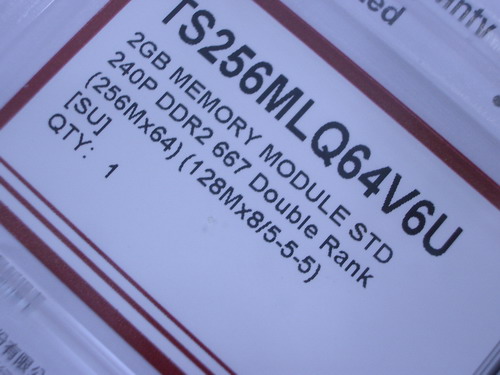 IMGP7738.JPG
