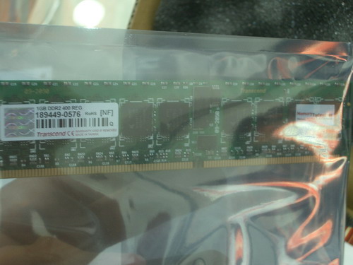 IMGP7774.JPG