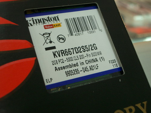 IMGP7784.JPG