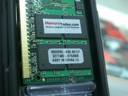 IMGP7786.JPG
