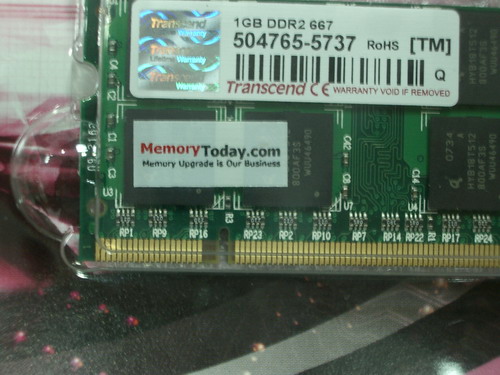 IMGP7793.JPG